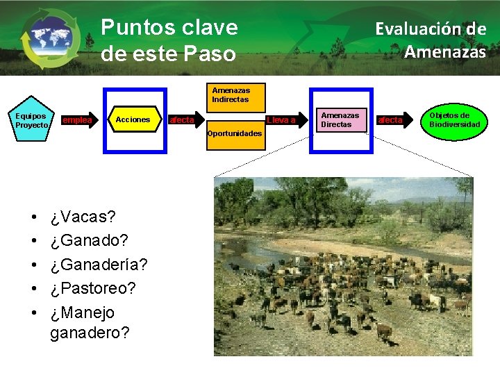 Puntos clave de este Paso Evaluación de Amenazas Indirectas Equipos Proyecto • • •