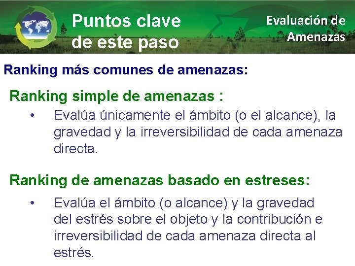 Puntos clave de este paso Evaluación de Amenazas Ranking más comunes de amenazas: Ranking