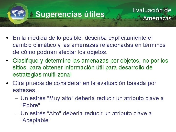 Sugerencias útiles Evaluación de Amenazas • En la medida de lo posible, describa explícitamente