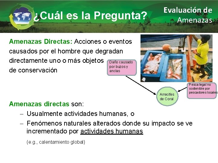 ¿Cuál es la Pregunta? Evaluación de Amenazas Directas: Acciones o eventos causados por el