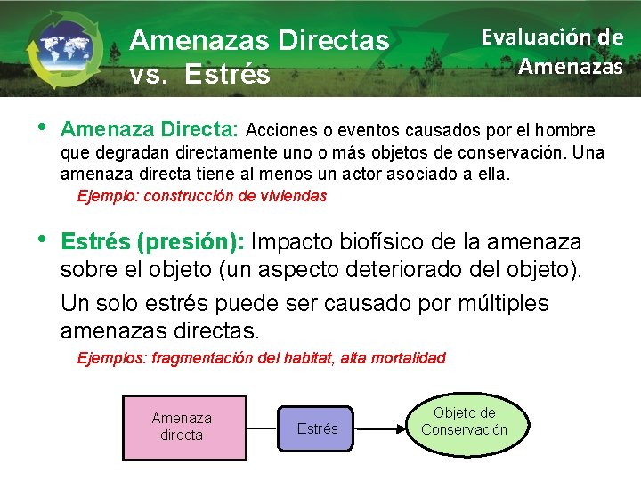 Evaluación de Amenazas Directas vs. Estrés • Amenaza Directa: Acciones o eventos causados por