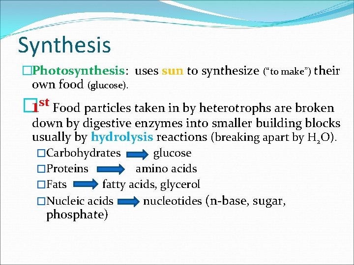 Synthesis �Photosynthesis: uses sun to synthesize (“to make”) their own food (glucose). � 1
