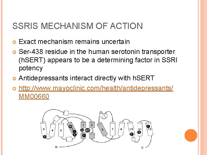 SSRIS MECHANISM OF ACTION Exact mechanism remains uncertain Ser-438 residue in the human serotonin