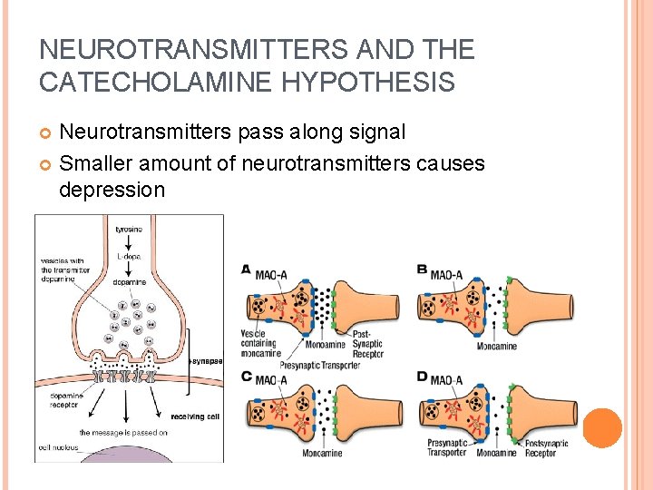 NEUROTRANSMITTERS AND THE CATECHOLAMINE HYPOTHESIS Neurotransmitters pass along signal Smaller amount of neurotransmitters causes
