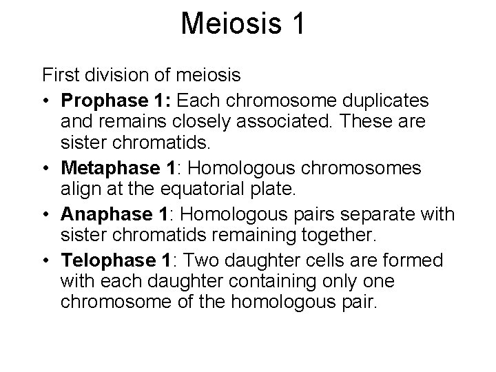 Meiosis 1 First division of meiosis • Prophase 1: Each chromosome duplicates and remains