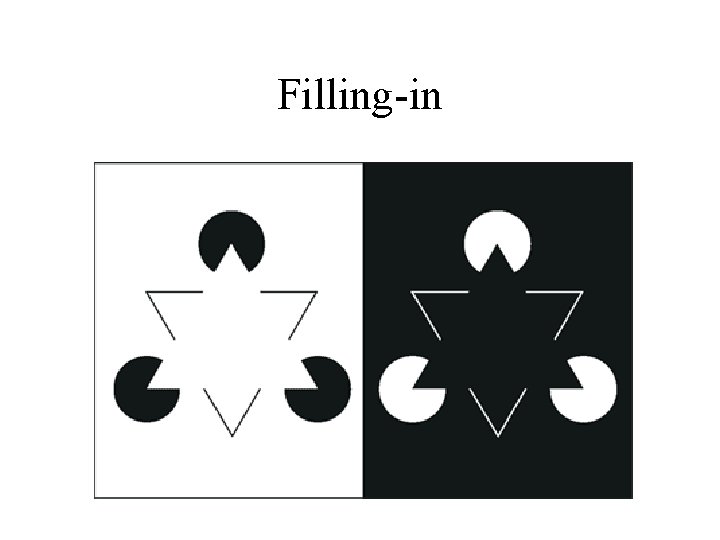Visual Perception Is a Creative Process Instructor Dr