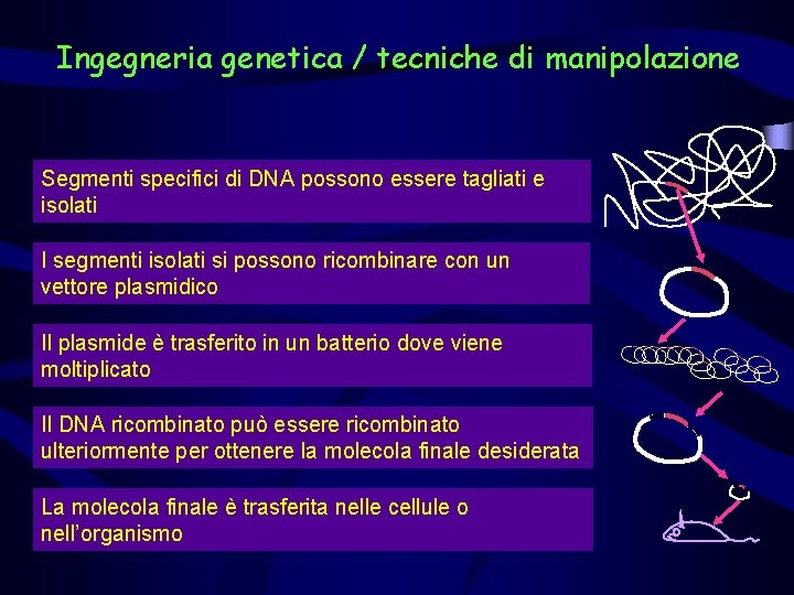 Ingegneria genetica / tecniche di manipolazione Segmenti specifici di DNA possono essere tagliati e