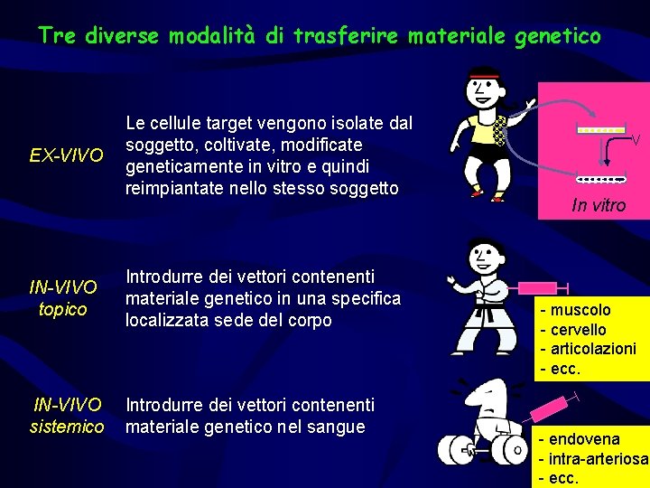 Tre diverse modalità di trasferire materiale genetico EX-VIVO Le cellule target vengono isolate dal