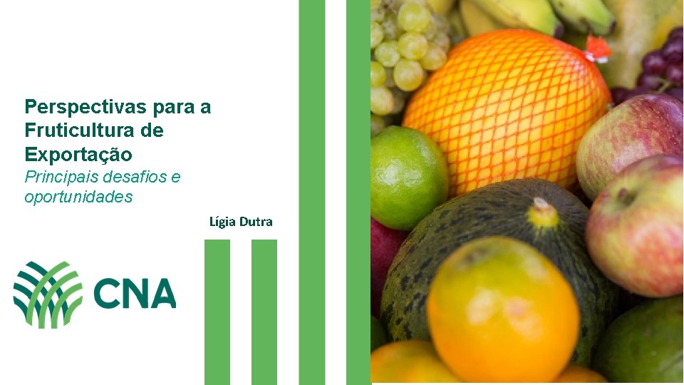 Perspectivas para a Fruticultura de Exportação Principais desafios e oportunidades Lígia Dutra 