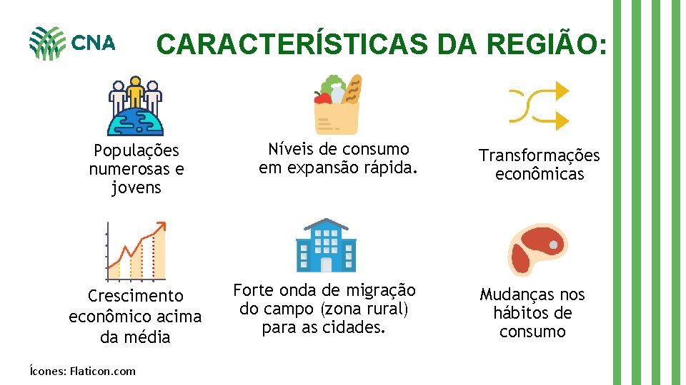 CARACTERÍSTICAS DA REGIÃO: Populações numerosas e jovens Crescimento econômico acima da média Ícones: Flaticon.