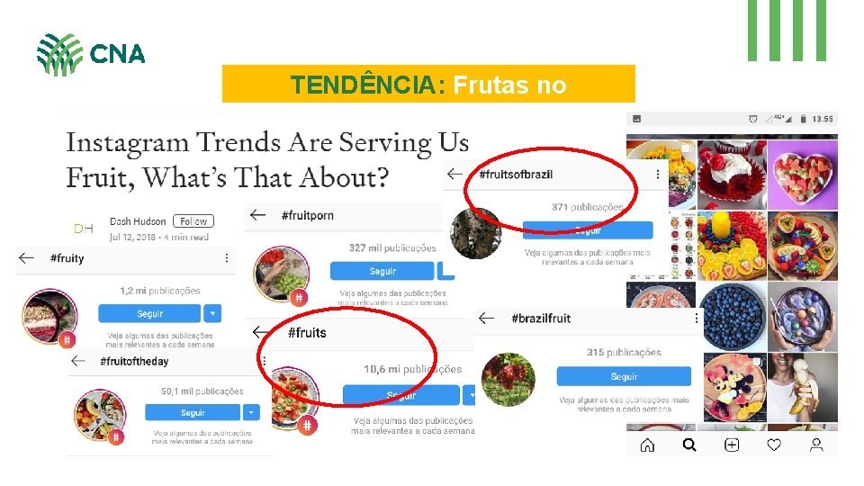 TENDÊNCIA: Frutas no Instagram 