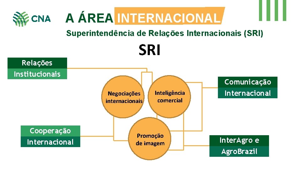 A ÁREA INTERNACIONAL Superintendência de Relações Internacionais (SRI) Relações SRI Institucionais Comunicação Negociações internacionais