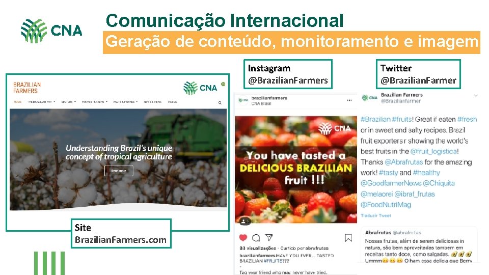 Comunicação Internacional Geração de conteúdo, monitoramento e imagem Instagram @Brazilian. Farmers Site Brazilian. Farmers.