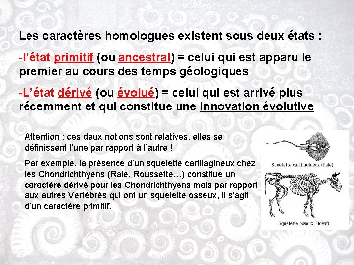 Les caractères homologues existent sous deux états : -l’état primitif (ou ancestral) = celui