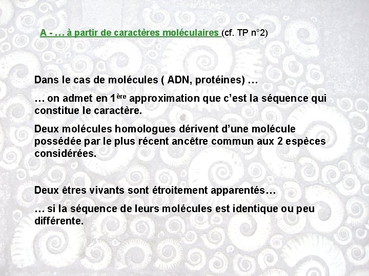 A - … à partir de caractères moléculaires (cf. TP n° 2) Dans le