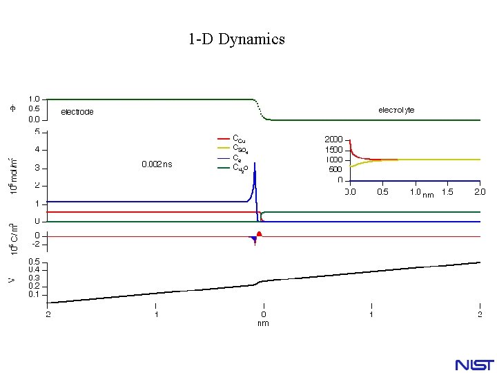 1 -D Dynamics 1 -D Dynamics