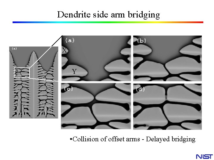 Dendrite side arm bridging X Y • Collision of offset arms - Delayed bridging Dendrite side arm bridging X Y • Collision of offset arms - Delayed bridging