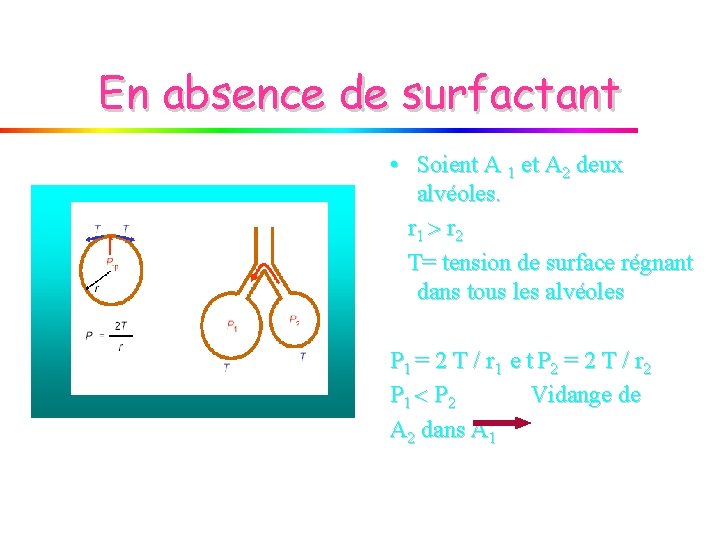 En absence de surfactant • Soient A 1 et A 2 deux alvéoles. r