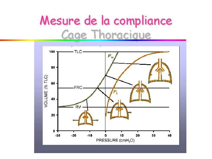 Mesure de la compliance Cage Thoracique 