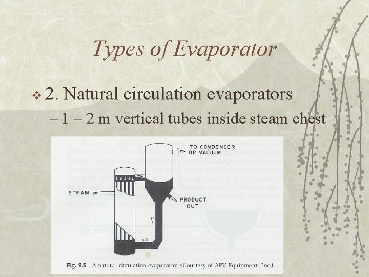 Types of Evaporator v 2. Natural circulation evaporators – 1 – 2 m vertical