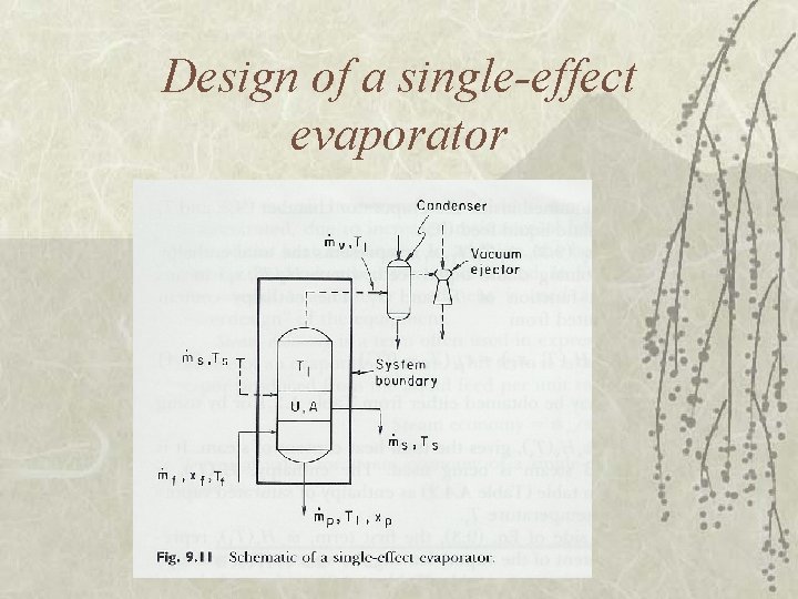 Design of a single-effect evaporator 