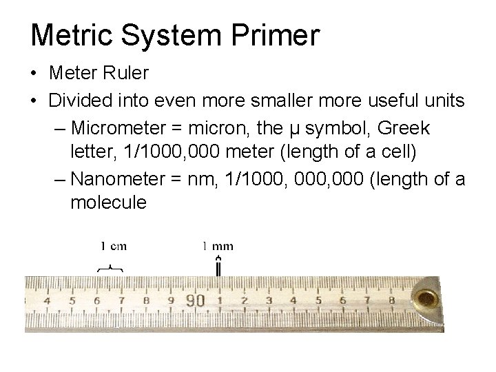 Metric System Primer • Meter Ruler • Divided into even more smaller more useful