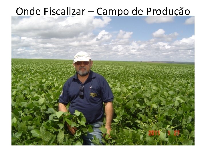 Onde Fiscalizar – Campo de Produção 