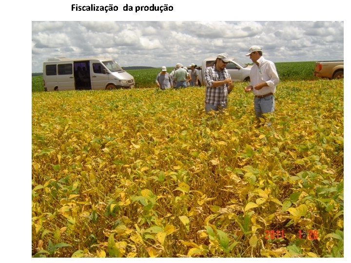 Fiscalização da produção 