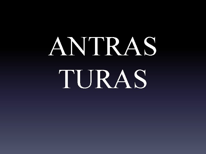 ANTRAS TURAS 