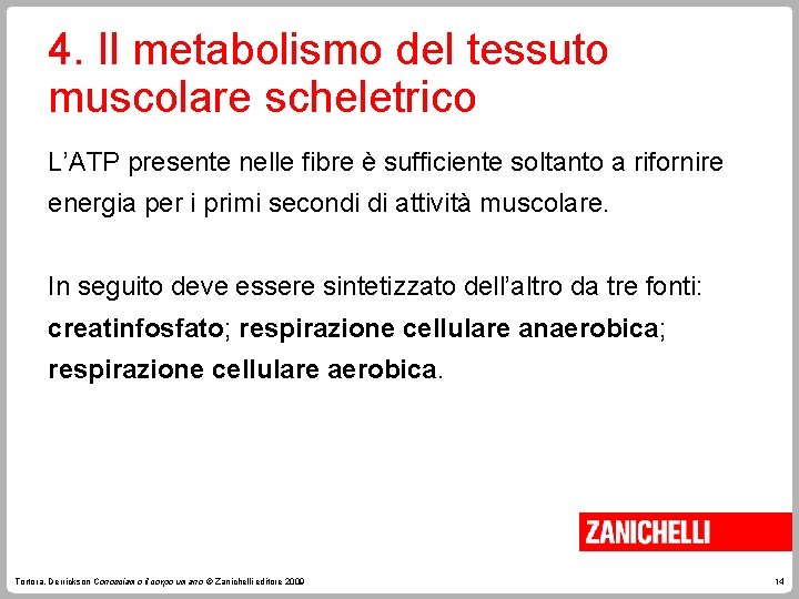 4. Il metabolismo del tessuto muscolare scheletrico L’ATP presente nelle fibre è sufficiente soltanto 4. Il metabolismo del tessuto muscolare scheletrico L’ATP presente nelle fibre è sufficiente soltanto