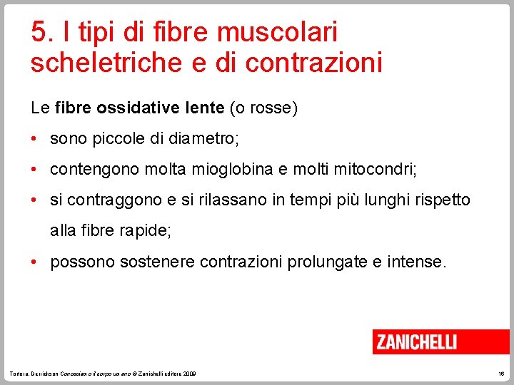 5. I tipi di fibre muscolari scheletriche e di contrazioni Le fibre ossidative lente 5. I tipi di fibre muscolari scheletriche e di contrazioni Le fibre ossidative lente