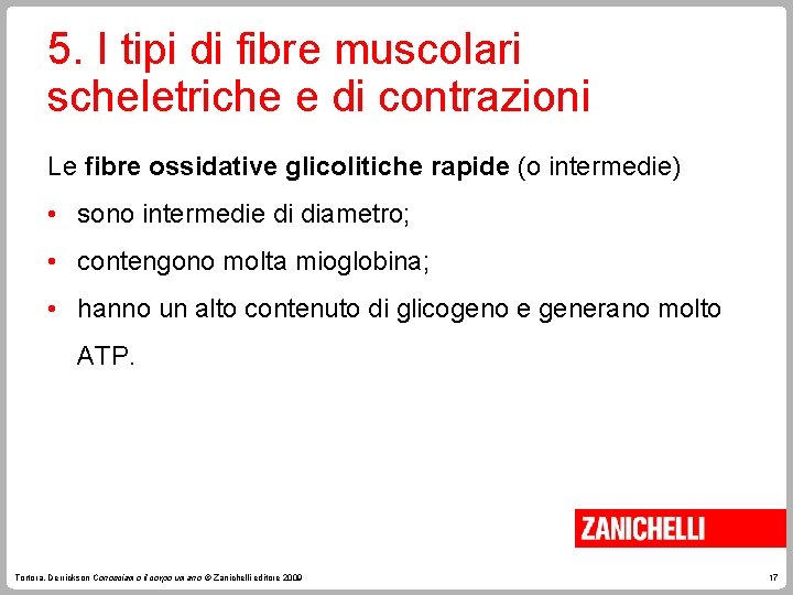5. I tipi di fibre muscolari scheletriche e di contrazioni Le fibre ossidative glicolitiche 5. I tipi di fibre muscolari scheletriche e di contrazioni Le fibre ossidative glicolitiche