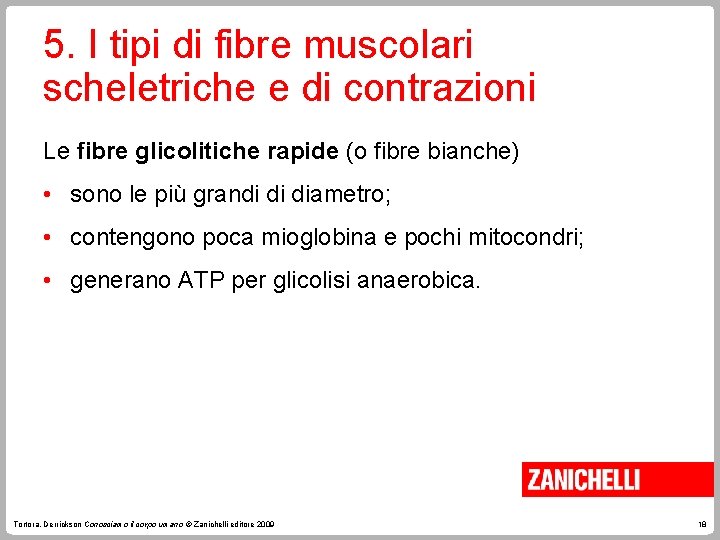 5. I tipi di fibre muscolari scheletriche e di contrazioni Le fibre glicolitiche rapide 5. I tipi di fibre muscolari scheletriche e di contrazioni Le fibre glicolitiche rapide