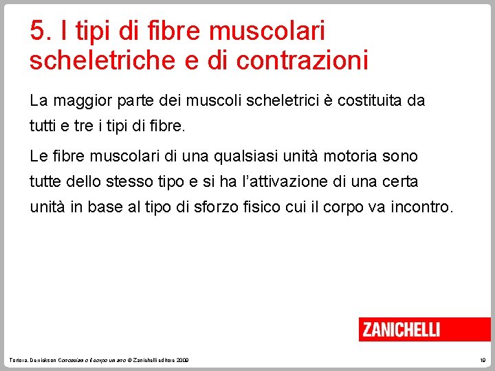 5. I tipi di fibre muscolari scheletriche e di contrazioni La maggior parte dei 5. I tipi di fibre muscolari scheletriche e di contrazioni La maggior parte dei