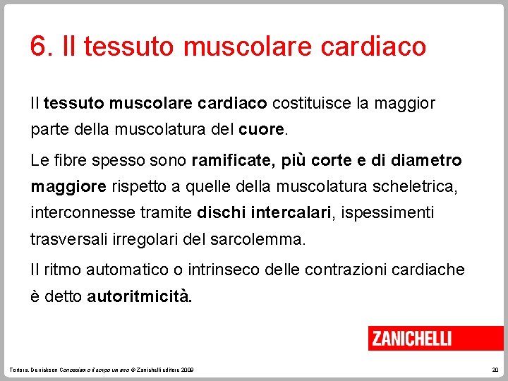 6. Il tessuto muscolare cardiaco costituisce la maggior parte della muscolatura del cuore. Le 6. Il tessuto muscolare cardiaco costituisce la maggior parte della muscolatura del cuore. Le