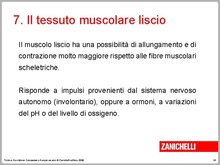 7. Il tessuto muscolare liscio Il muscolo liscio ha una possibilità di allungamento e 7. Il tessuto muscolare liscio Il muscolo liscio ha una possibilità di allungamento e