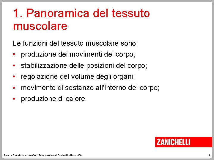 1. Panoramica del tessuto muscolare Le funzioni del tessuto muscolare sono: • produzione dei 1. Panoramica del tessuto muscolare Le funzioni del tessuto muscolare sono: • produzione dei