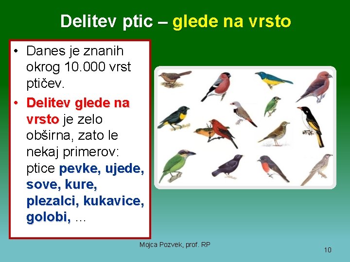 Delitev ptic – glede na vrsto • Danes je znanih okrog 10. 000 vrst