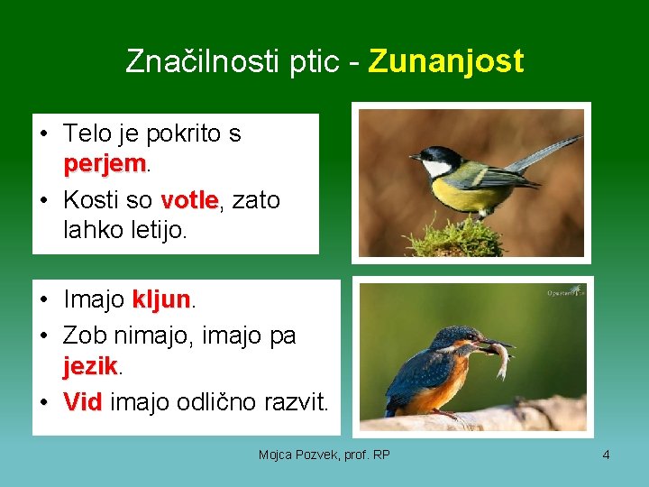 Značilnosti ptic - Zunanjost • Telo je pokrito s perjem • Kosti so votle,