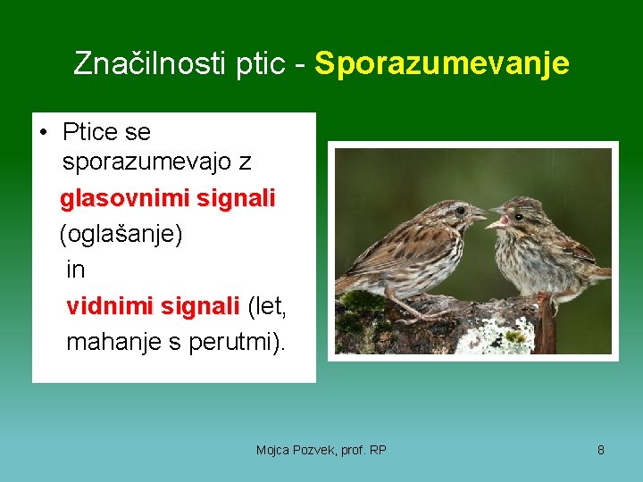 Značilnosti ptic - Sporazumevanje • Ptice se sporazumevajo z glasovnimi signali (oglašanje) in vidnimi