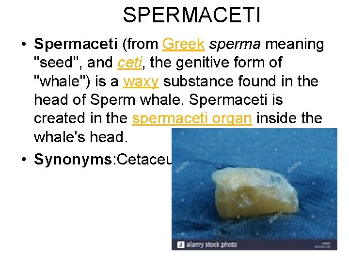 SPERMACETI • Spermaceti (from Greek sperma meaning "seed", and ceti, the genitive form of