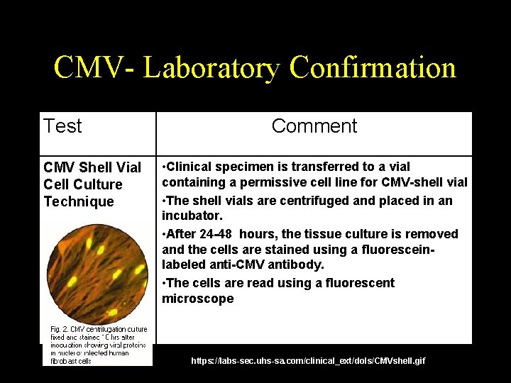 CMV- Laboratory Confirmation Test CMV Shell Vial Cell Culture Technique Comment • Clinical specimen