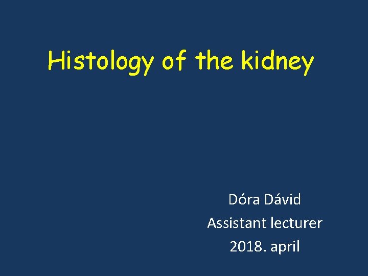 Histology of the kidney Dóra Dávid Assistant lecturer 2018. april 