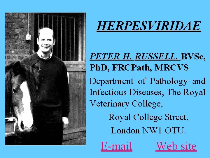 HERPESVIRIDAE PETER H. RUSSELL, BVSc, Ph. D, FRCPath, MRCVS Department of Pathology and Infectious