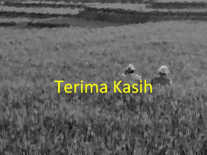 Terima Kasih 