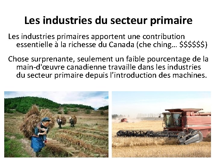 Les industries du secteur primaire Les industries primaires apportent une contribution essentielle à la