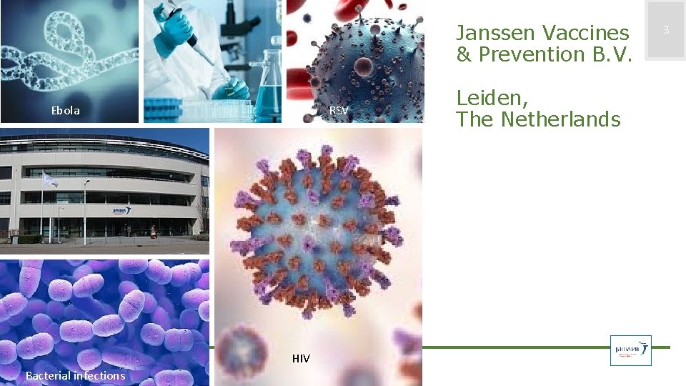 Janssen Vaccines & Prevention B. V. Ebola RSV HIV Bacterial infections Leiden, The Netherlands