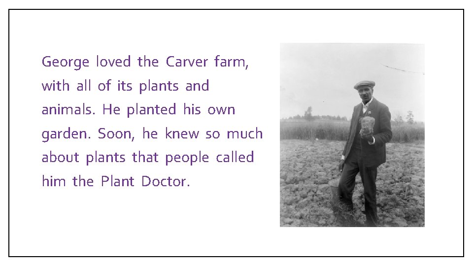  George loved the Carver farm, with all of its plants and animals. He
