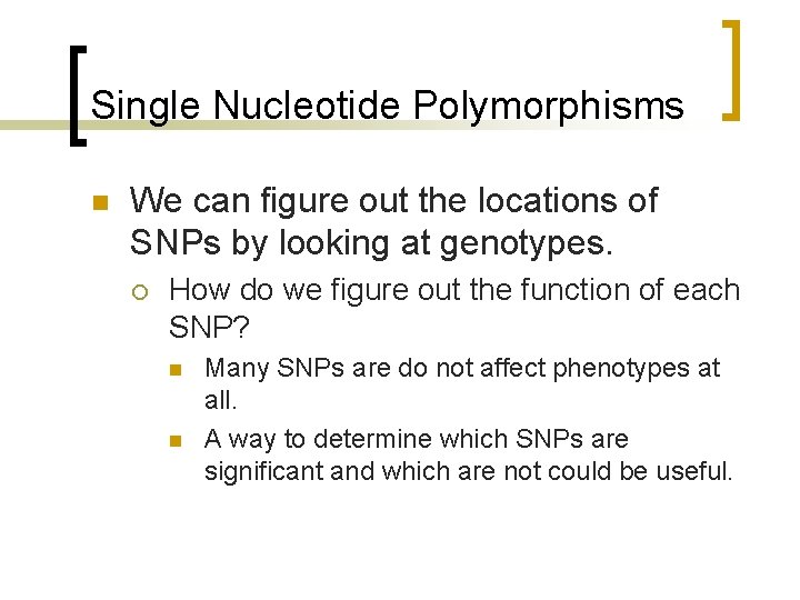 Single Nucleotide Polymorphisms n We can figure out the locations of SNPs by looking