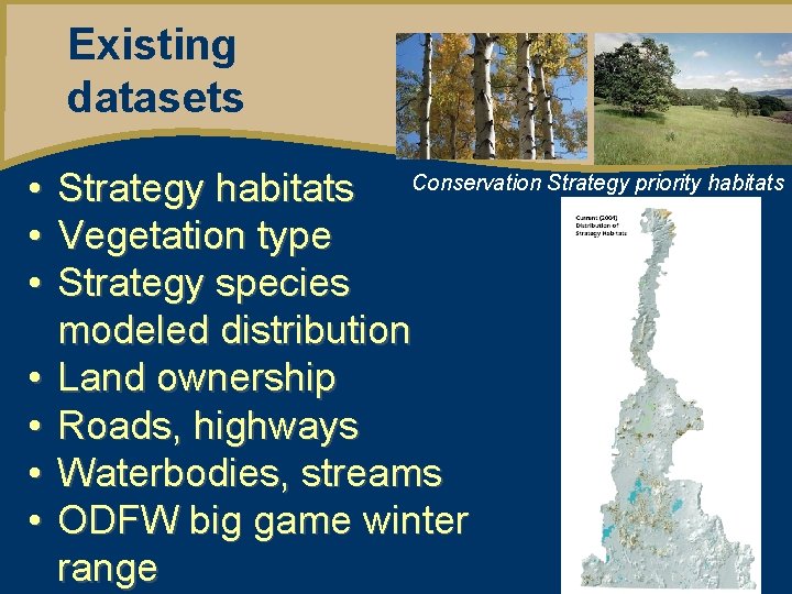 Existing datasets • • Strategy habitats Conservation Strategy priority habitats Vegetation type Strategy species